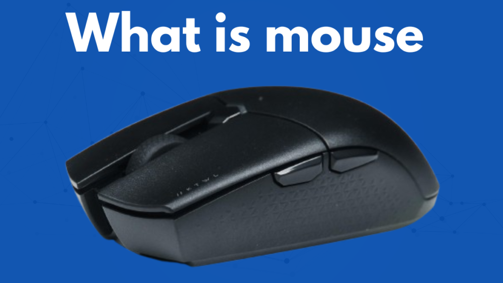 What is mouse